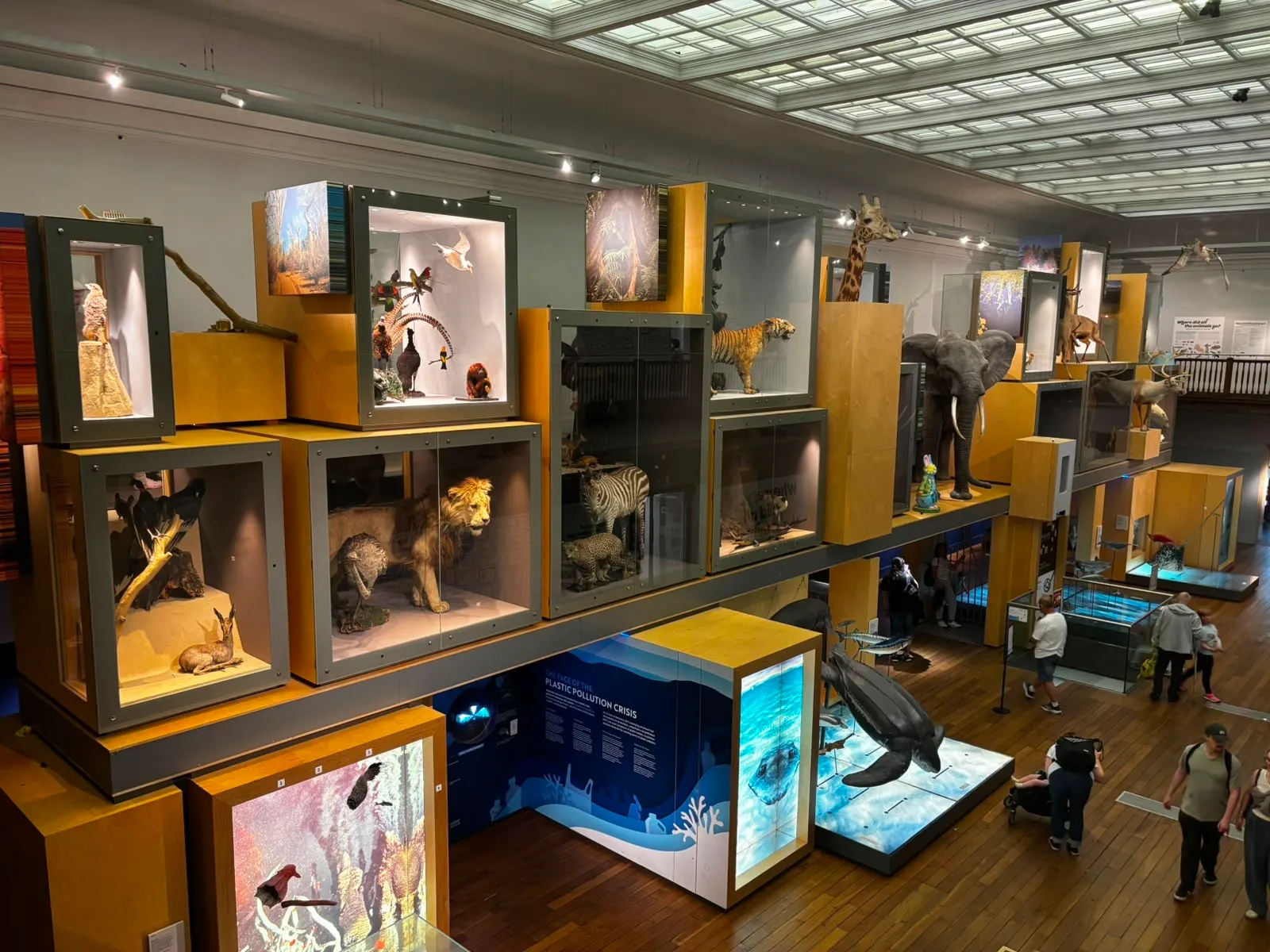 The museum's main gallery hall